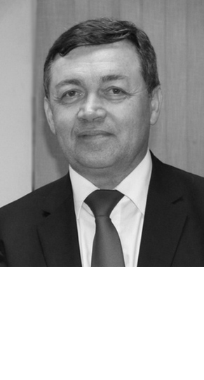 Prof. dr Zdravko Skakavac